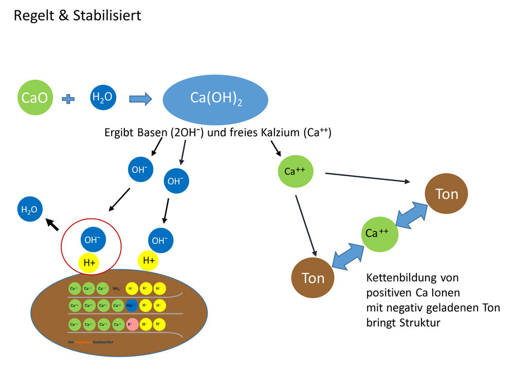 Grafik Regelt-Stabilisiert